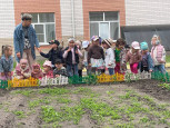 Есть у нас огород там своя морковь растет !!!