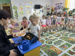 Огород на подоконнике. Посадка и наблюдение
