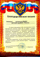 ВЗАИМОДЕЙСТВИЕ С СОЦИАЛЬНЫМИ ПАРТНЕРАМИ И РОДИТЕЛЯМИ