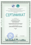 Мои достижения 2023 - 2024г.г.