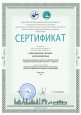 Мои достижения 2023 - 2024г.г.