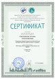 Мои достижения 2023 - 2024г.г.