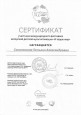 Мои достижения 2023 - 2024г.г.