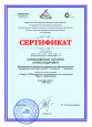 Мои достижения 2023 - 2024г.г.