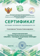Мои достижения 2023 - 2024г.г.