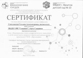 Мои достижения 2023 - 2024г.г.