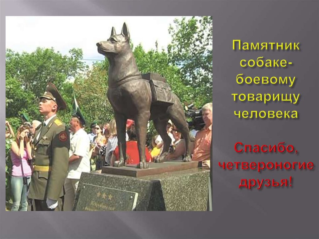 Животные Герои Фото