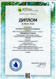 Международный уровень 2021г