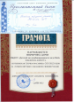Муниципальный уровень