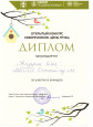 Муниципальный уровень