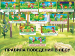 Правила поведения в лесу