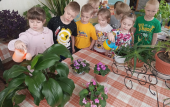 Эколята-дошколята на страже природы! 