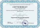 Транслирование опыта профессиональной деятельности