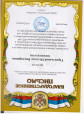 Профессионально-общественная активность