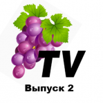 Выпуск 2 - Мультфильм "Безопасный Новый год"