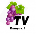 Выпуск 1 - Мультфильм "Берегите ели"