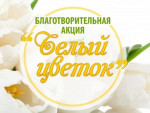 Акция "Белый цветок"