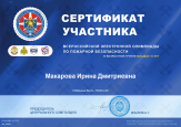 Мои достижения