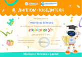 Мои достижения