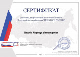 Мои достижения
