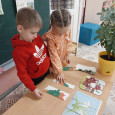 Неделя мир комнатных растений