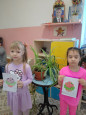 : Мир комнатных растений