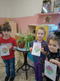 : Мир комнатных растений