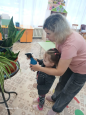 январь  комнатные растения и добрые дела