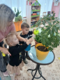 январь  комнатные растения и добрые дела