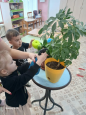 январь  комнатные растения и добрые дела