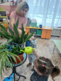 январь  комнатные растения 