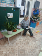 январь  комнатные растения 