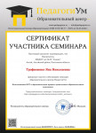 Сертификат  семинара