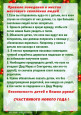 Безопасный Новый год