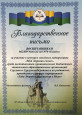 7. Наличие достижений, обучающихся в заочных мероприятиях 
