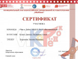 Муниципальный уровень 