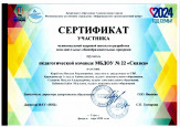 УЧАСТИЕ В СЕМИНАРАХ,ВЕБИНАРАХ,МАСТЕР-КЛАССАХ