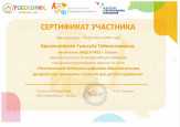 УЧАСТИЕ В СЕМИНАРАХ,ВЕБИНАРАХ,МАСТЕР-КЛАССАХ