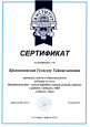 УЧАСТИЕ В СЕМИНАРАХ,ВЕБИНАРАХ,МАСТЕР-КЛАССАХ