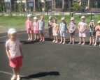 Подвижная игра " Гуси -лебеди"