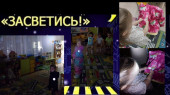 Акция "Засветись" 