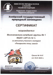Сертификат участника в конкурсе "Покормите птиц  зимой"