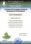 Участие в Акции "Покормите птиц Зимой"