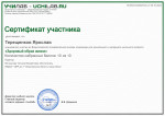Сертификат участника Онлайн - Олимпиады "Здоровый образ Жизни".