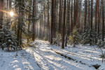 Всероссийский детский конкурс фотографий  "Зима через объектив"