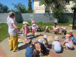 Солнце, воздух и вода – наши верные друзья