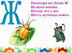 Фрагмент фронтального занятия по обучению грамоте. Тема: "Звук и буква Ж"