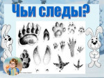 Дидактическая игра "Чьи Следы?"