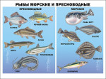 Тематическая неделя "Водные обитатели"