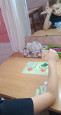 Игра "Живое не живое"